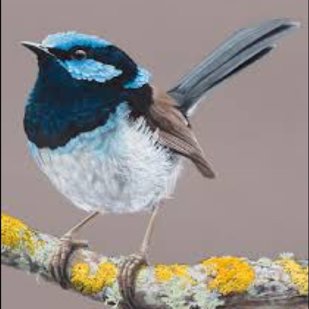 Meet your Posher, Irene